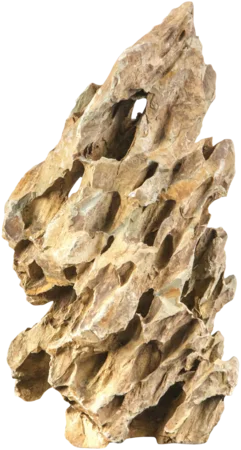 Dragon stone